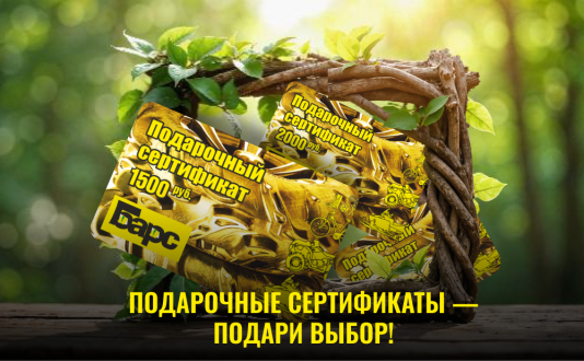Праздничное настроение с Подарочными Сертификатами от магазина Барс! 