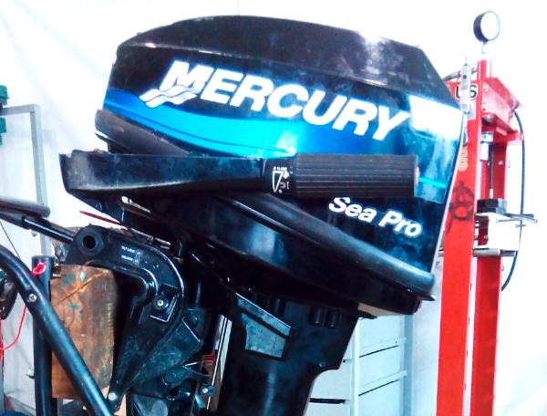 Mercury Sea Pro 15 с посторонними звуками при работе