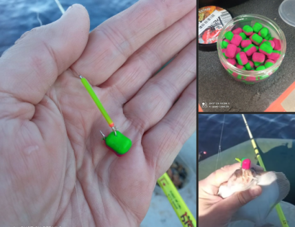 Бойлы для морской рыбалки.