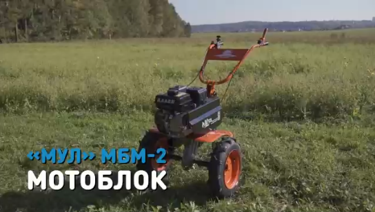 Большое поступление мотоблоков КАДВИ! 