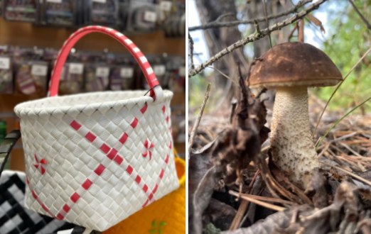 Забегай в Барс за своей корзинкой и — в лес!