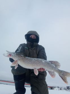 Как вам такой отпуск?
