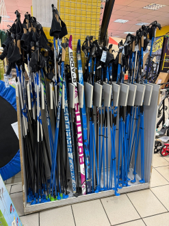 Ай да на лыжи!