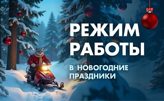 Поздравляем Вас с наступающим Новым годом! Режим работы магазина БАРС!