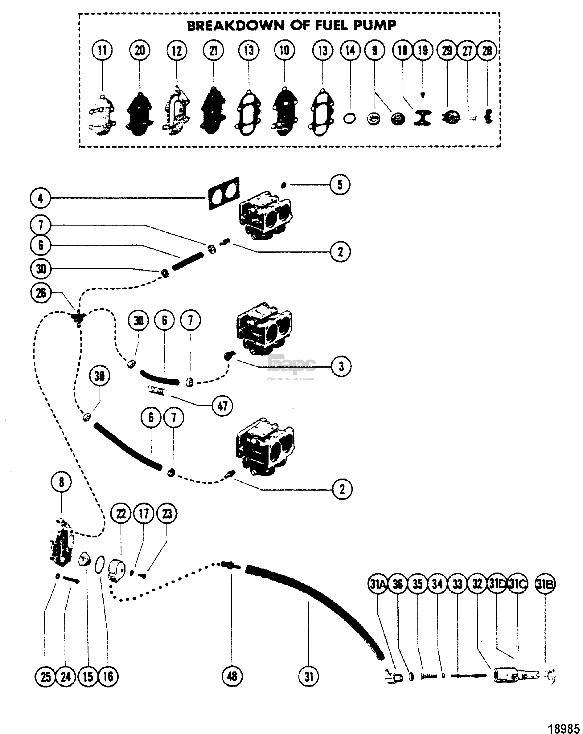 Fuel Pump(Design I)