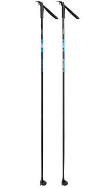 Палки лыжные БЗС 165 см