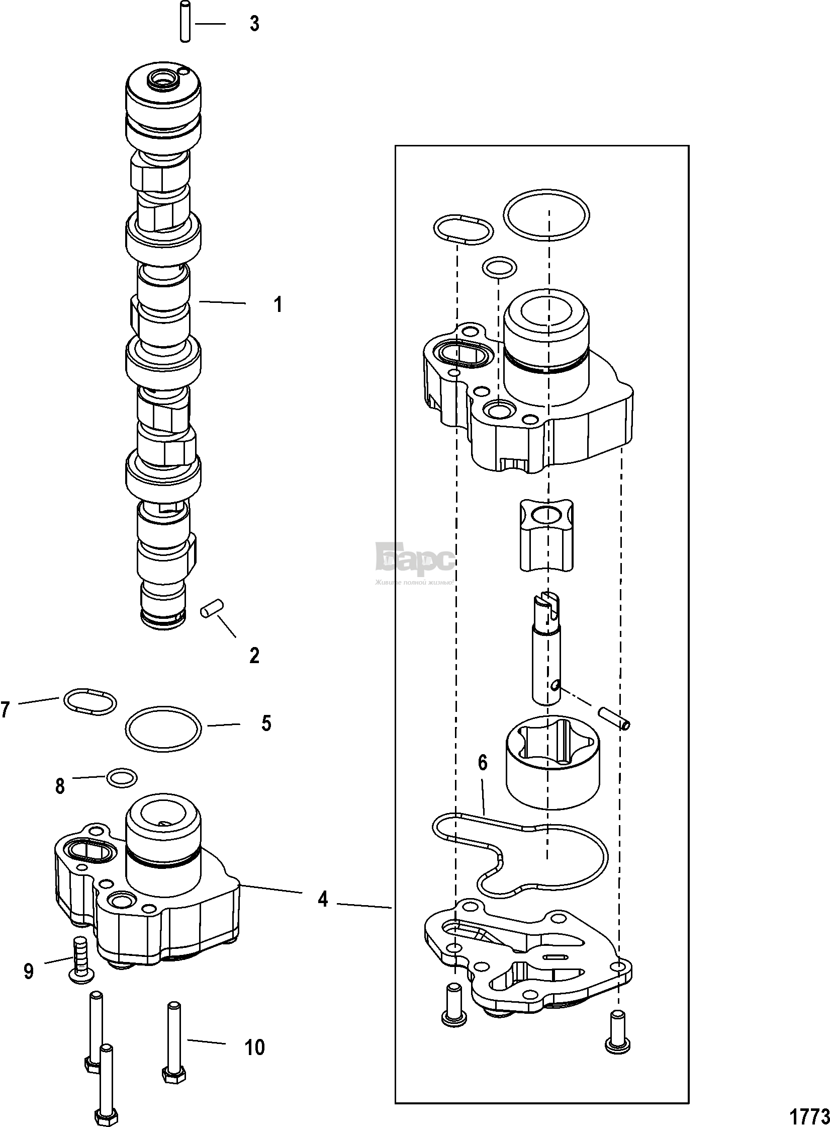 Camshaft and Oil Pump