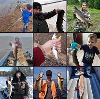 Круто, что вы делитесь своей рыбалкой, временем, проведённым с друзьями и семьёй! 