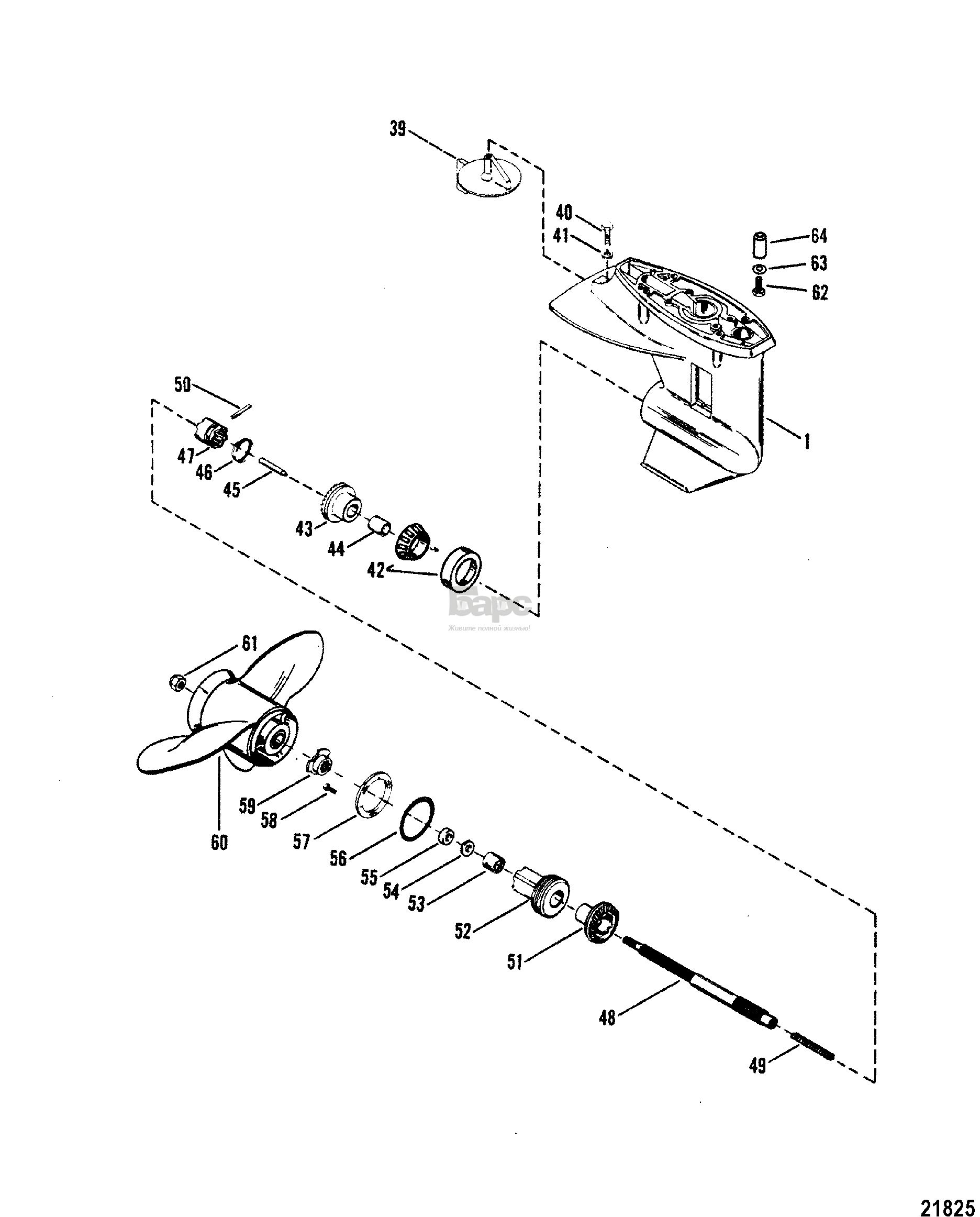 Gear Housing(Propeller Shaft)