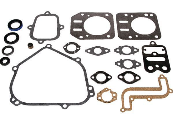 Набор уплотнений двигателя B&S 126300, 791797